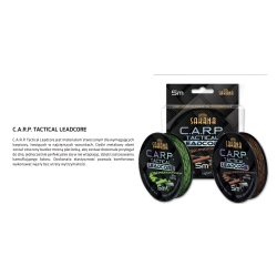 York Ledcore Sakana Carp Zielono Czarny 5m 45LBS