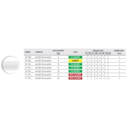Dragon Przyp.Invisible Fluorocarbon  8kg 30cm 2szt