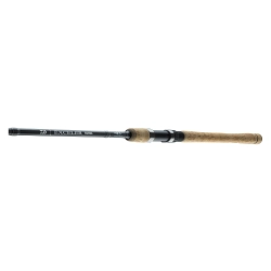 Daiwa Wędka Exceler Trad. 3,15m  15-40g