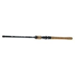 Daiwa Wędka Exceler Trad. 3,15m  15-40g