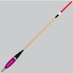 Expert Spławik Waggler 4g+2g
