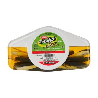 Berkley Guma Gulp Alive Minnow w Zalewie 10cm