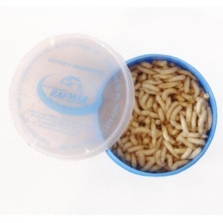 Robak Biały Opakowanie