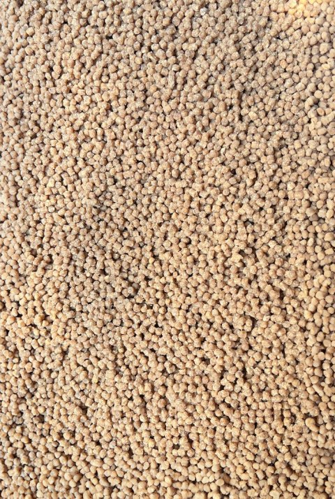 Feeder Bait Pellet Gotowy Orzech Tygrysi 2mm