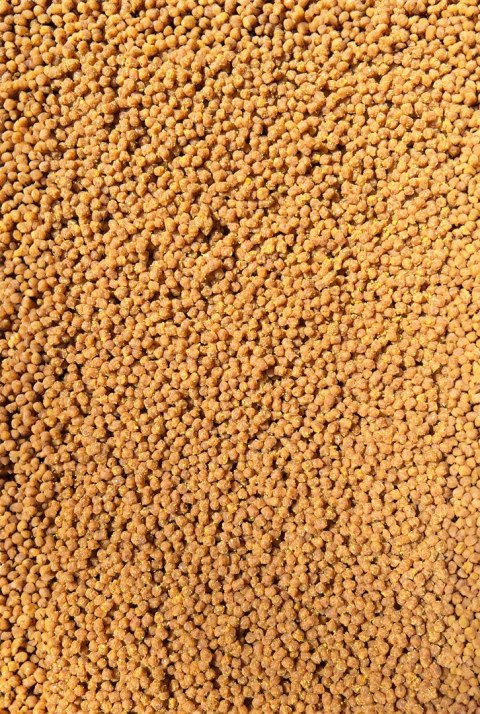 Feeder Bait Pellet Gotowy Sweet Corn 2mm