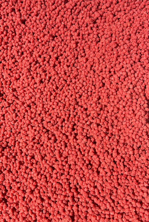 Feeder Bait Pellet Gotowy Truskawka 2mm
