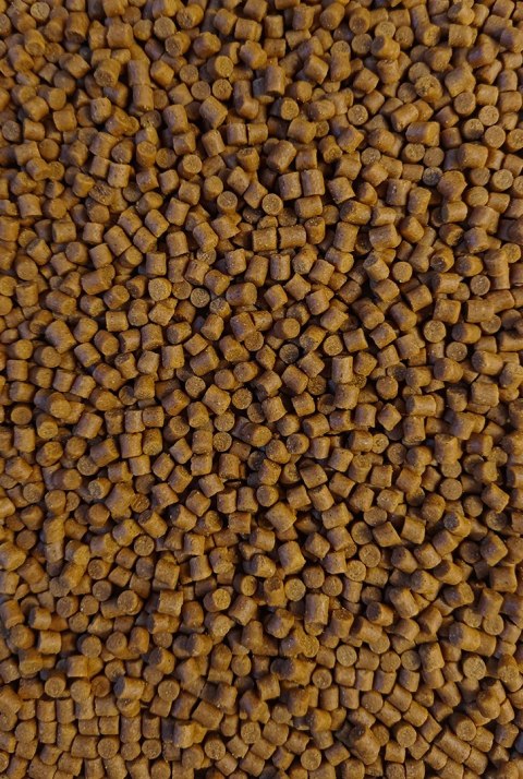 Feeder Bait Pellet Orzech Tygrysi 4mm 800g