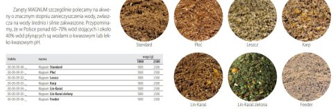 Dragon Zanęta Magnum 2,5 kg Leszcz