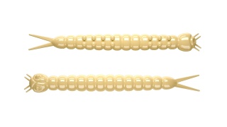 Libra Lures Slight Worm 38mm 005 Cheese No Taste