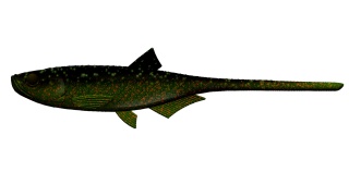 Libra Lures Embrion Shad5" 132 Motor Oil Green No