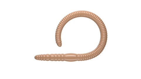 Libra Lures Flex Worm 95mm 035 Pellets Kryl
