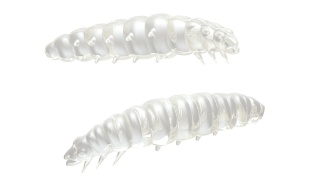 Libra Lures Larva 35mm 004 Silver Pearl Ser