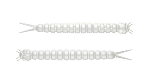 Libra Lures Slight Worm 38mm 004 Pearl Ser