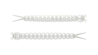 Libra Lures Slight Worm 38mm 004 Silver Pearl Kryl