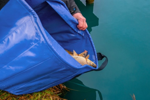 Preston Torba do Ważenia Ryb