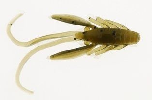 Berkley Nymph 30mm Perłowo Oliwkowo Szary