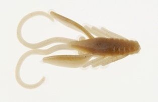 Berkley Nymph 30mm Szary