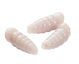 Berkley Sztuczne Białe Robaki