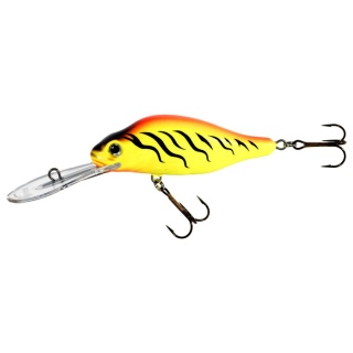 Jaxon Wobler Diver 9 SDR TR