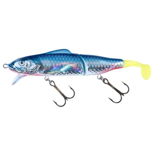 Jaxon Wobler Gerit 11+3 FSN