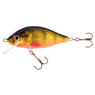 Jaxon Wobler HS Karaś 9 FOM