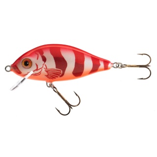 Jaxon Wobler HS Karaś 9 FRE