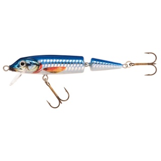 Jaxon Wobler Horn QM 11