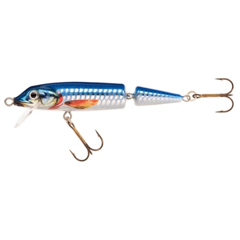 Jaxon Wobler Horn QM 11