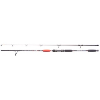 Jaxon Wędka Catfish E Spin&Troll 2,40 Up To 160g