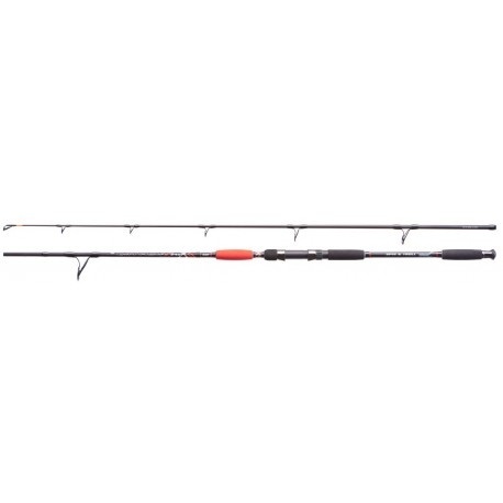 Jaxon Wędka Catfish E Spin&Troll 2,40 Up To 160g