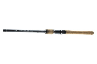 Daiwa Wędka Exceler Trad. 3,15m 15-40g