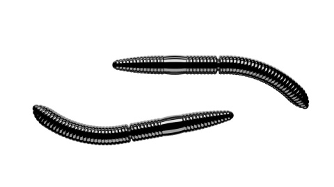 Libra Lures Fatty D'Worm 65mm 040 Black No Taste