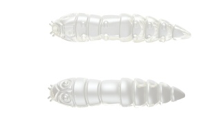 Libra Lures Kukolka 42mm 004 Silver Pearl No Taste