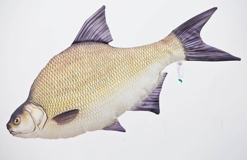 Gaby Ryba Maskotka Leszcz