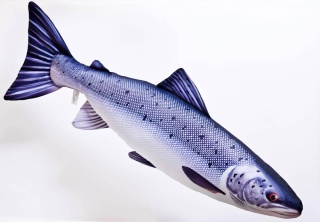 Gaby Ryba Maskotka Łosoś