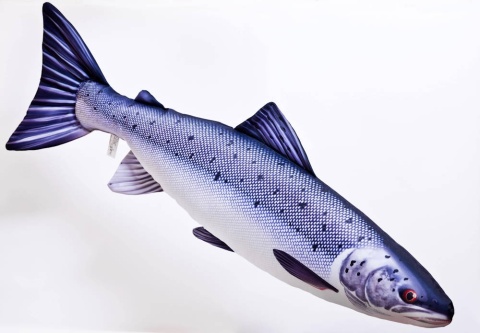 Gaby Ryba Maskotka Łosoś