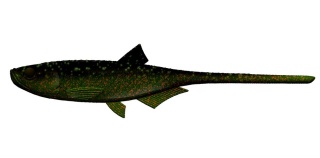 Libra Lures Embrion Shad5" 132 Motor Oil Green No