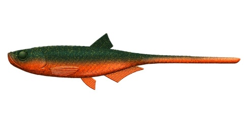 Libra Lures Embrion Twist Tail 7" 111 Angry Carrot