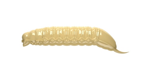 Libra Lures Goliath 35mm 005 Cheese Ser