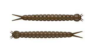 Libra Lures Slight Worm 38mm 038 Brown Ser
