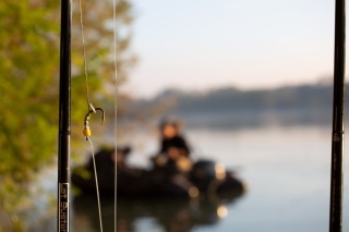 Black Cat Haki Gripper DG #3/0 (x6)