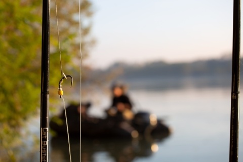 Black Cat Haki Gripper DG #3/0 (x6)