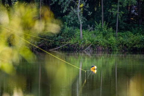 Black Cat Plecionka S-Line 0.38mm 40kg 250m Żółta