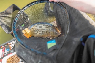 Preston Kosz Podbieraka 20" Quick Dry Landing Net