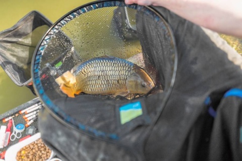 Preston Kosz Podbieraka 20" Quick Dry Landing Net