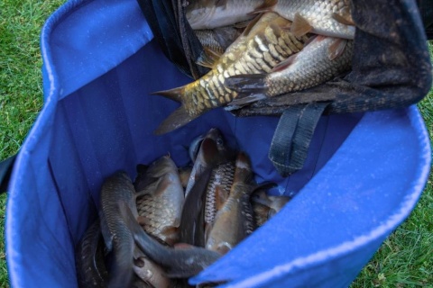 Preston Torba do Ważenia Ryb