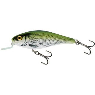 Salmo Wobler Executor SR F Olive Bleak 7cm