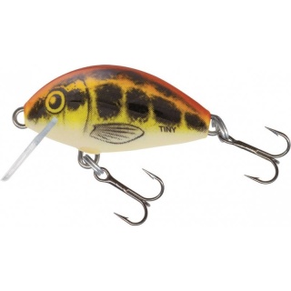 Salmo Wobler Hornet 4F Real Dace