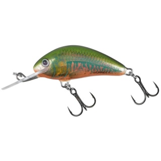 Salmo Wobler Hornet 5S Holo Oikawa