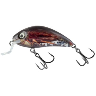 Salmo Wobler Rattlin Hornet 3.5SR Cockchafer